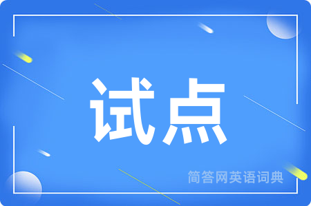 试点