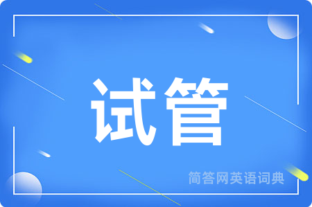 试管用英语怎么说,试管的英语翻译 试管