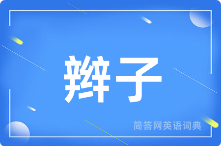 辫子用英语怎么说,辫子的英语翻译 辫子
