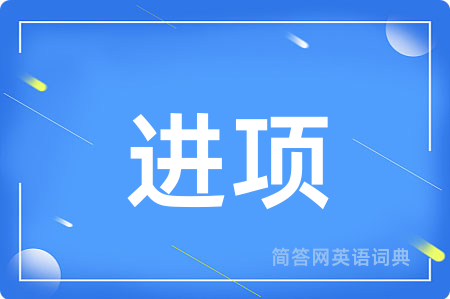 进项