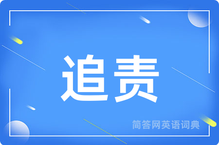 追责