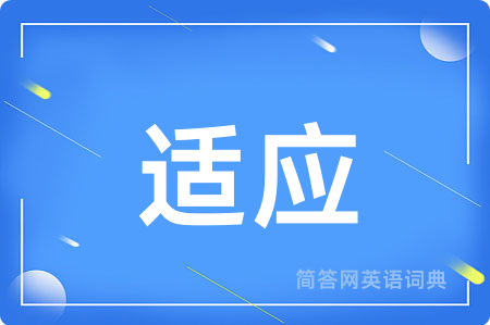 适应