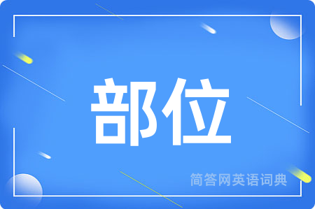 部位
