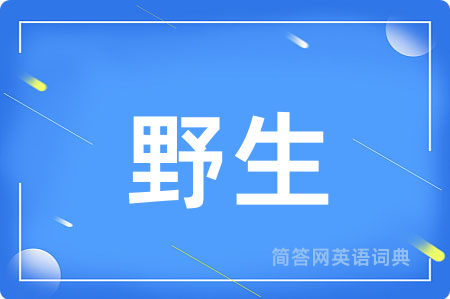 野生