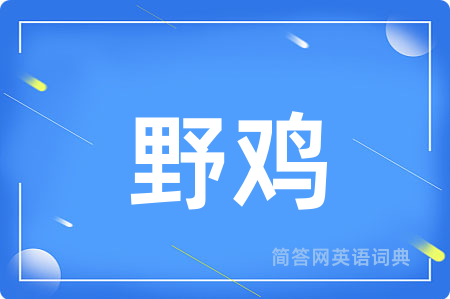 野鸡