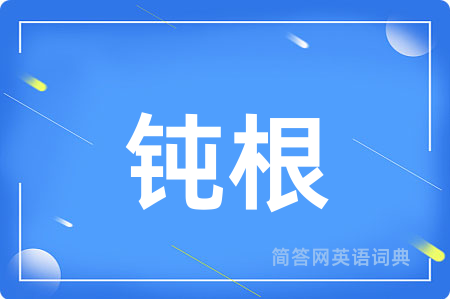 钝根