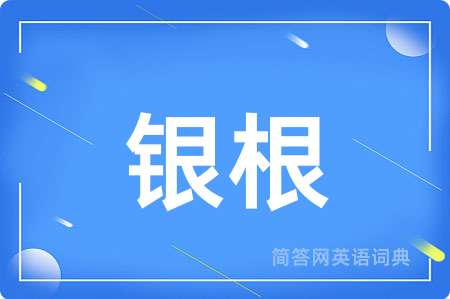 银根