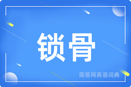 锁骨