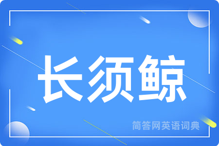 长须鲸