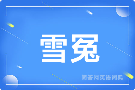 雪冤用英语怎么说,雪冤的英语翻译 雪冤