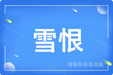 雪恨用英语怎么说,雪恨的英语翻译 雪恨