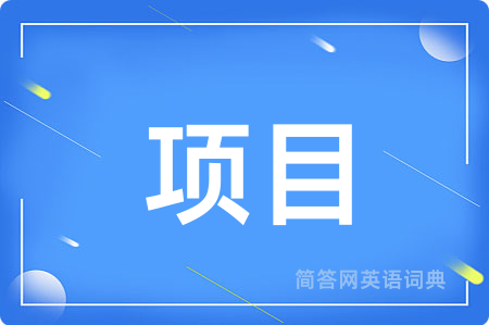 项目