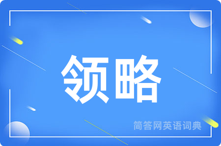 领略