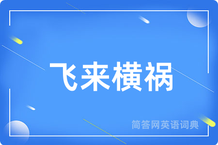 飞来横祸