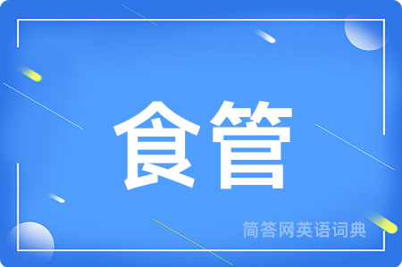 食管