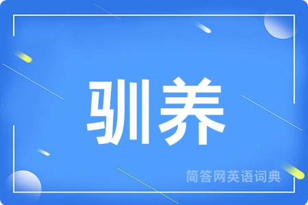 驯养