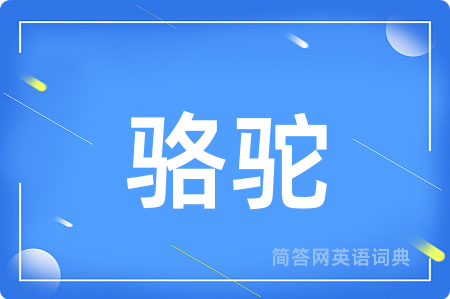 骆驼