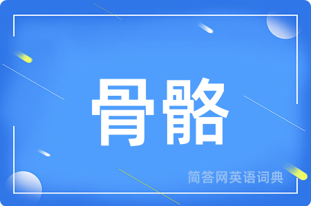 骨骼用英语怎么说,骨骼的英语翻译 骨骼