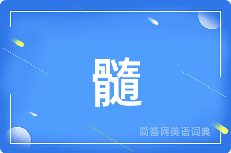 髓