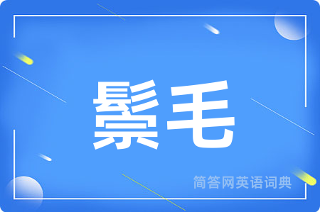 鬃毛用英语怎么说,鬃毛的英语翻译 鬃毛