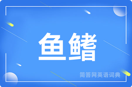 鱼鳍