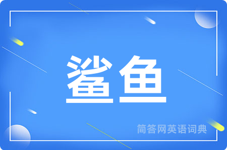 鲨鱼