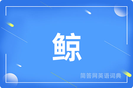 鲸