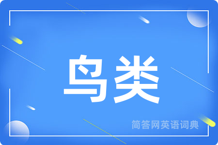 鸟类