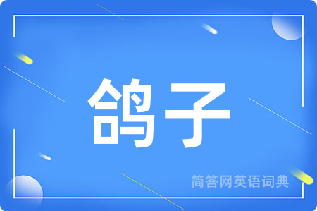 鸽子