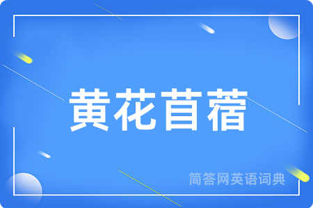 黄花苜蓿