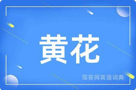 黄花用英语怎么说,黄花的英语翻译 黄花