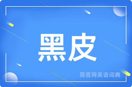 黑皮