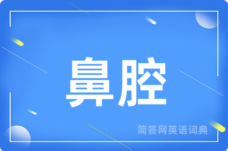 鼻腔
