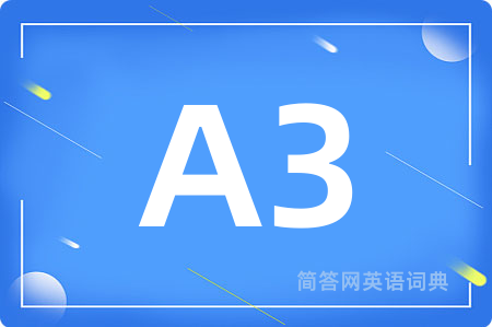 A3