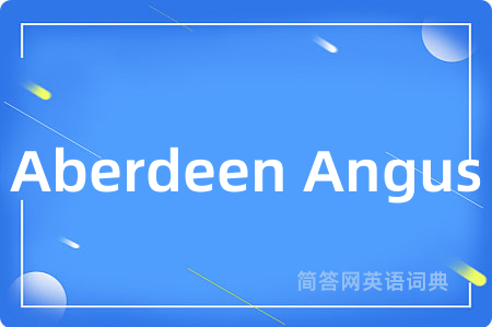 Aberdeen Angus