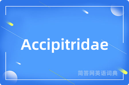 Accipitridae