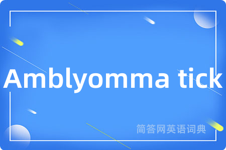 Amblyomma tick