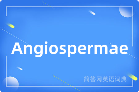 Angiospermae