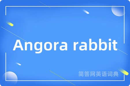 Angora rabbit