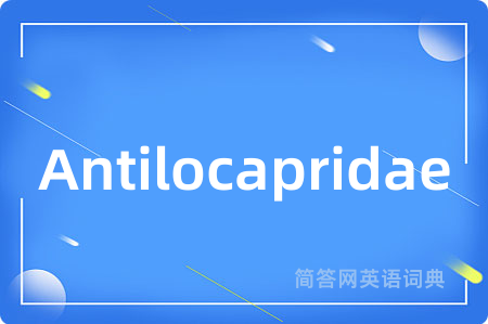 Antilocapridae