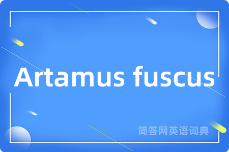 Artamus fuscus
