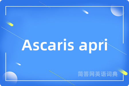 Ascaris apri是什么意思,Ascaris apri的中文翻译 Ascaris apri