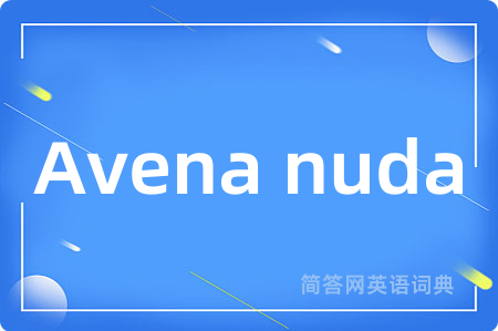 Avena nuda是什么意思,Avena nuda的中文翻译 Avena nuda