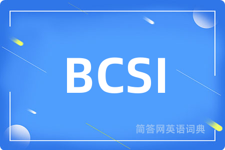 BCSI是什么意思,BCSI的中文翻译 BCSI