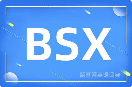 BSX