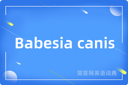 Babesia canis