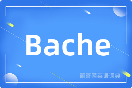 Bache