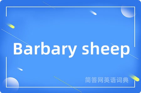 Barbary sheep