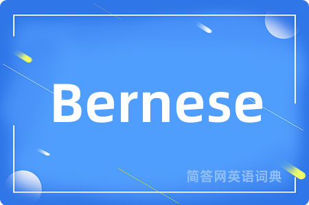 Bernese是什么意思,Bernese的中文翻译 Bernese