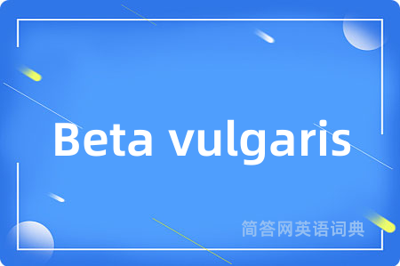 Beta vulgaris